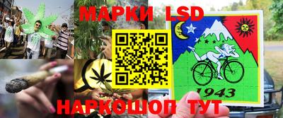 спиды Дубна
