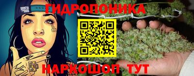 spice Донецк
