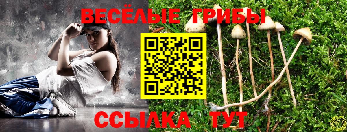 Коломна  Галлюциногенные грибы ЛСД  Вход с VPN 